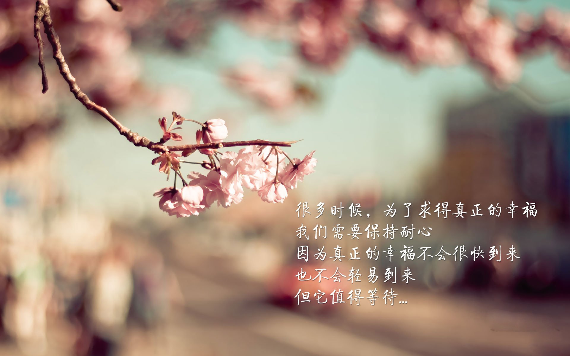 “足球场馆智能化改造助力赛事精彩纷呈”,创意足球场馆
