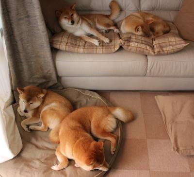 【新星崛起】年轻投手爆发助队夺冠,形容新星崛起的口号